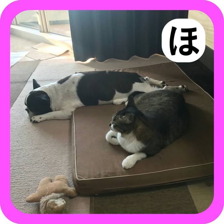 5b74e377 121a 4808 a249 fb83ae8d7cea 1514769193682