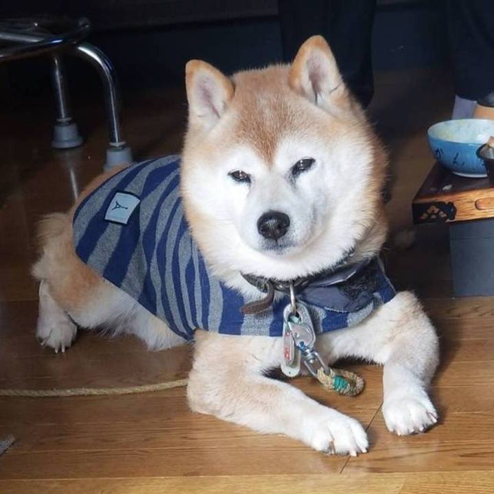 5b74fbac 3907 4daf a2ca 4cecf6bf2052 1708134651172