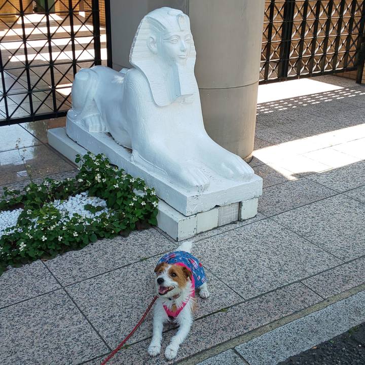 5b75019f 105f 4b63 a7a5 84d14a6de3f4 1558756826699