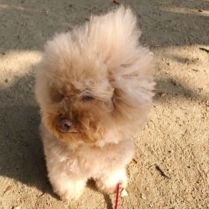 5b750689 61af 46f2 b7af 59a6232a82dd 1540024326071