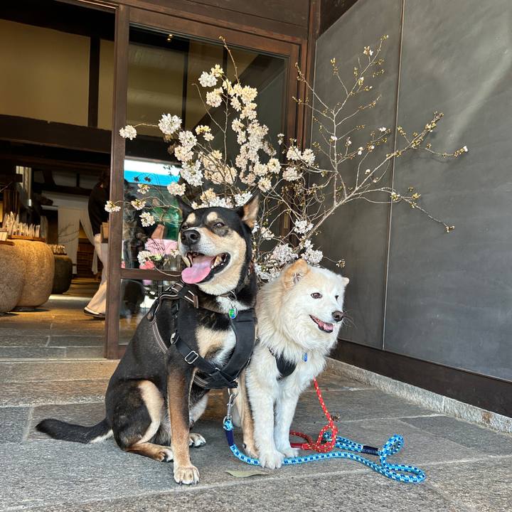 5b7516e1 b4aa 468f 97bf d6bcad42a903 1744332857579