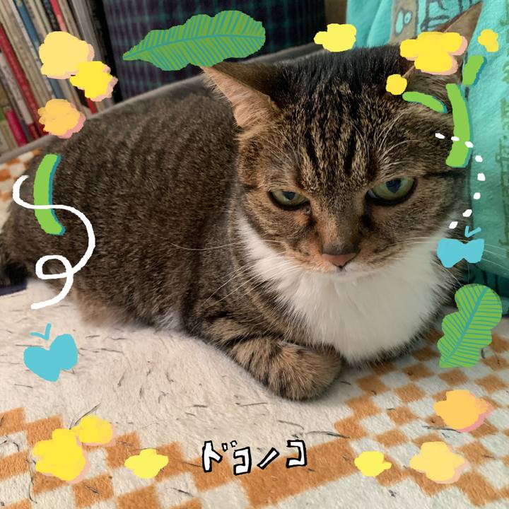 5b753cf9 dbf9 401f 9083 59d926c3bd58 1744587352075