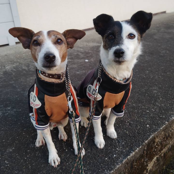 5b753f51 e77a 4e42 b1ca 8b7f1921fdfe 1769210933735