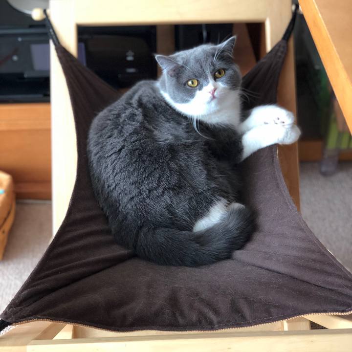 5b75984d c124 46a9 9af5 0291cd617698 1545870900213