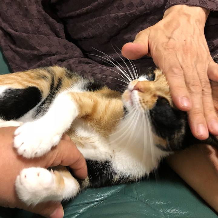 5b75bd9f 072f 4878 b930 12fdaafe5bf9 1527687845033