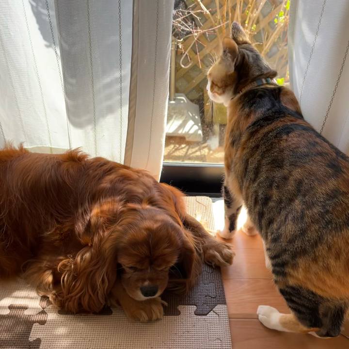 5b75d98f beaf 4eb1 a8e1 64a9a897e8f6 1679197774789