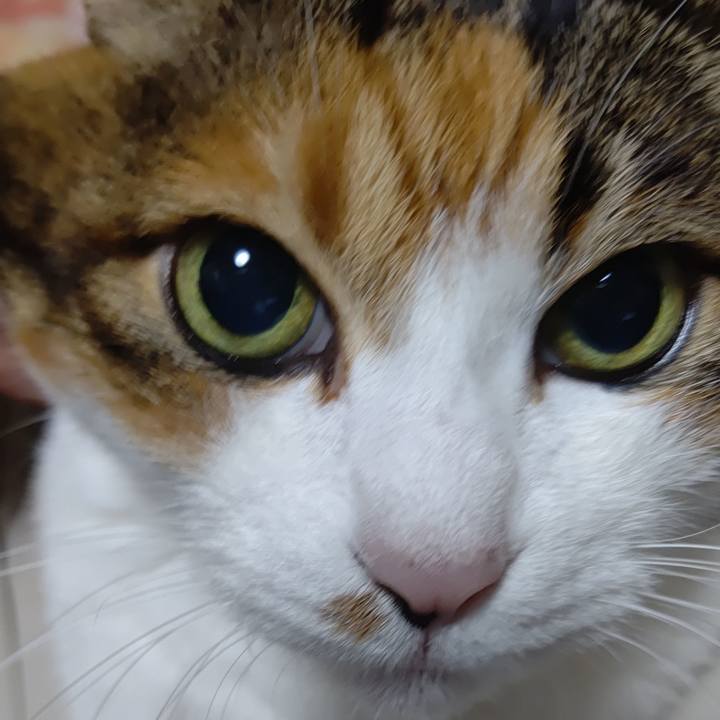 5b75e862 0506 478e 8695 98cc0567d333 1602497874176