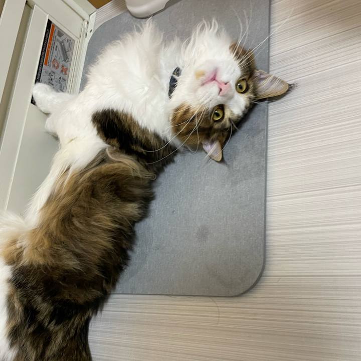 5b75eb07 1e3b 4258 82fd 656c8d2697eb 1645010941909