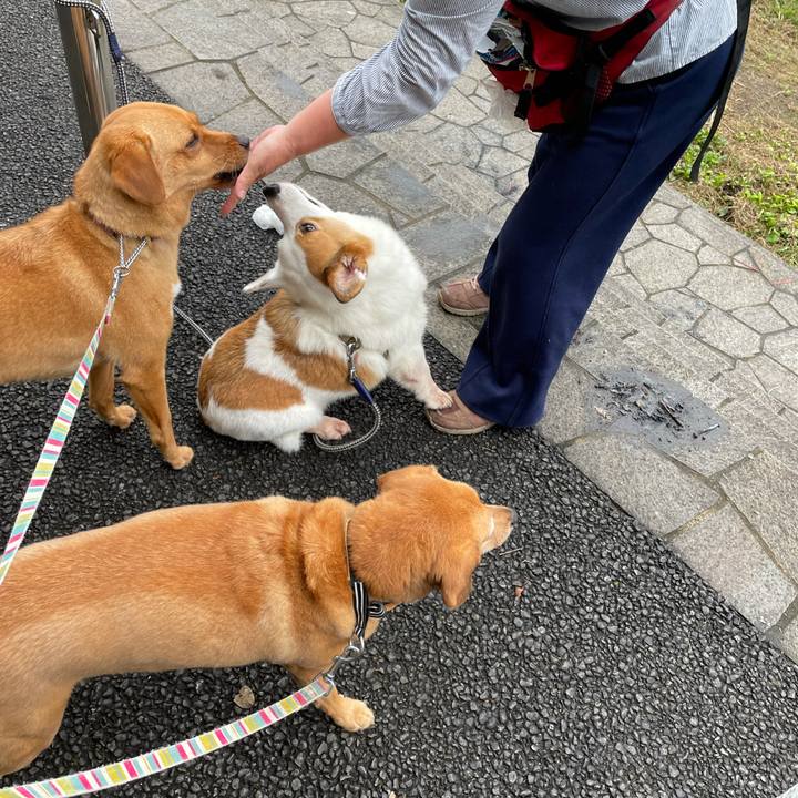 5b7626b8 8f4c 49bb 9282 7d336e00c443 1625734648324