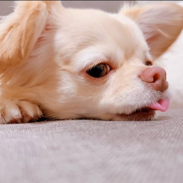 5b7634ee b089 4af8 8bd5 91c98be40c98 1650283687442