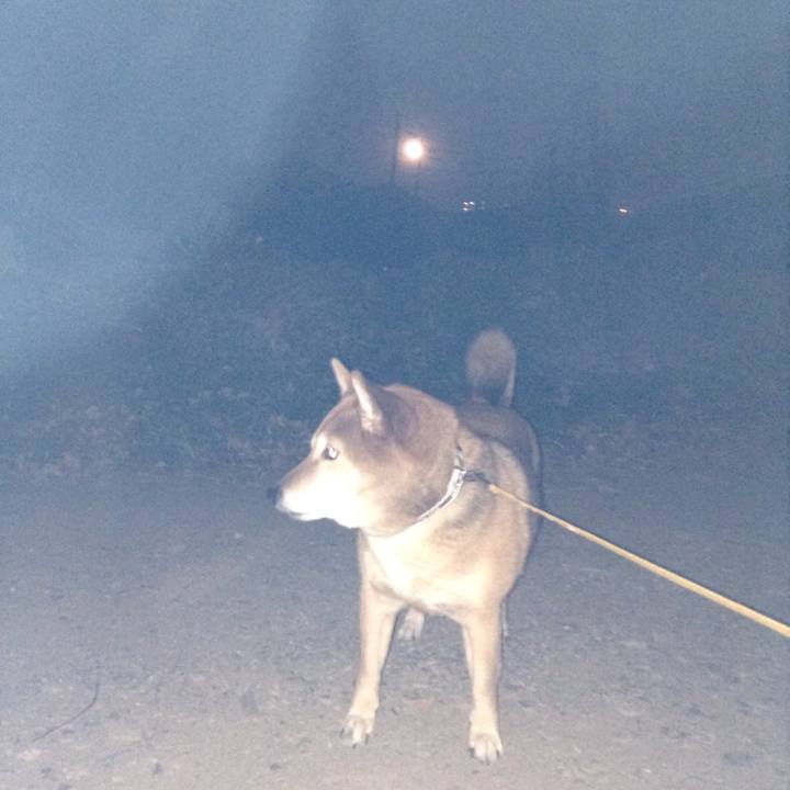 5b7637c9 7dc0 4e5e 8164 0fbcfd5f9a6e 1548064340330