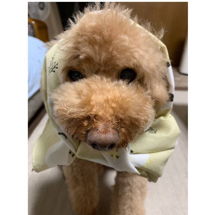 5b764cdc 4278 4488 a175 fcb5a66364bc 1556616963515