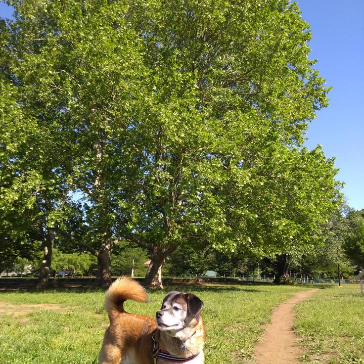 5b766322 b417 433c 84aa dacbec89e8b7 1557273856136