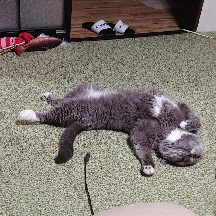 5b768533 1183 4667 8c2a ffb872c7365b 1723374227600