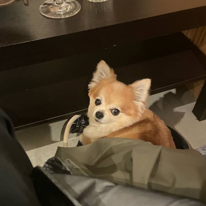 5b7690f8 cc60 46c5 9ef1 abe20e1675df 1766149845833