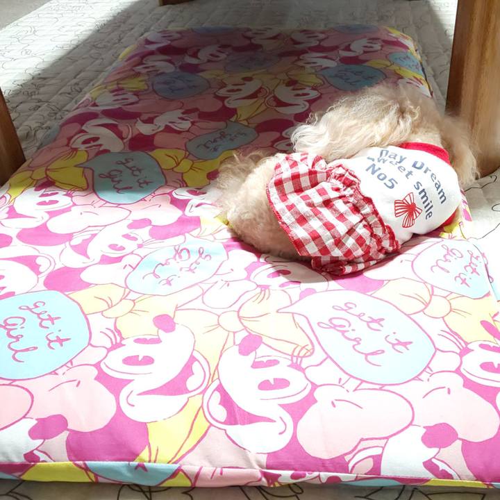 5b76b1a8 3852 450a b20a 681c570d85f9 1568381434143