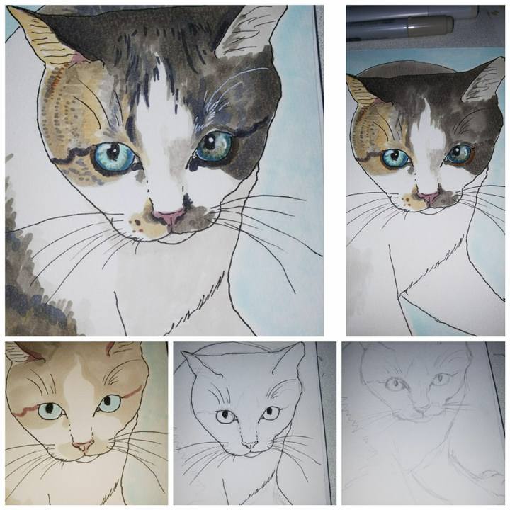 5b76b22d e72c 46d4 8a36 7aaa04ceb4db 1533457761358