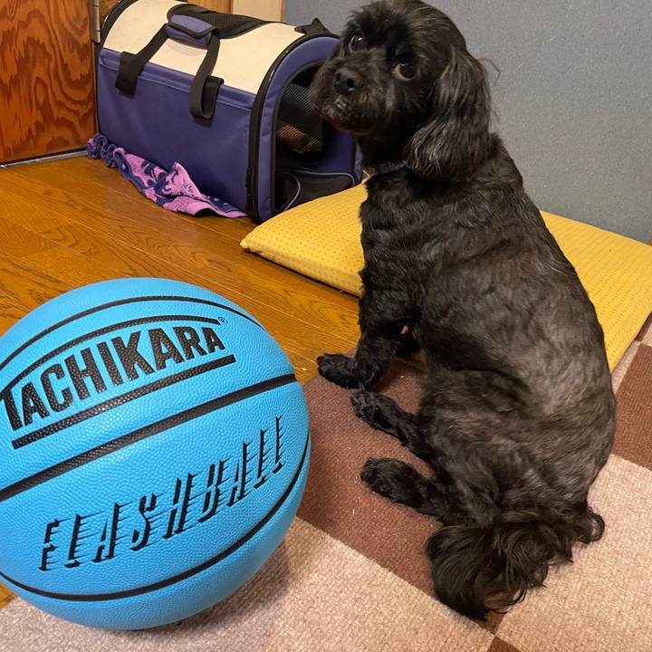 5b76ca0d 74c4 4959 8743 0e4485db2eeb 1697175807056