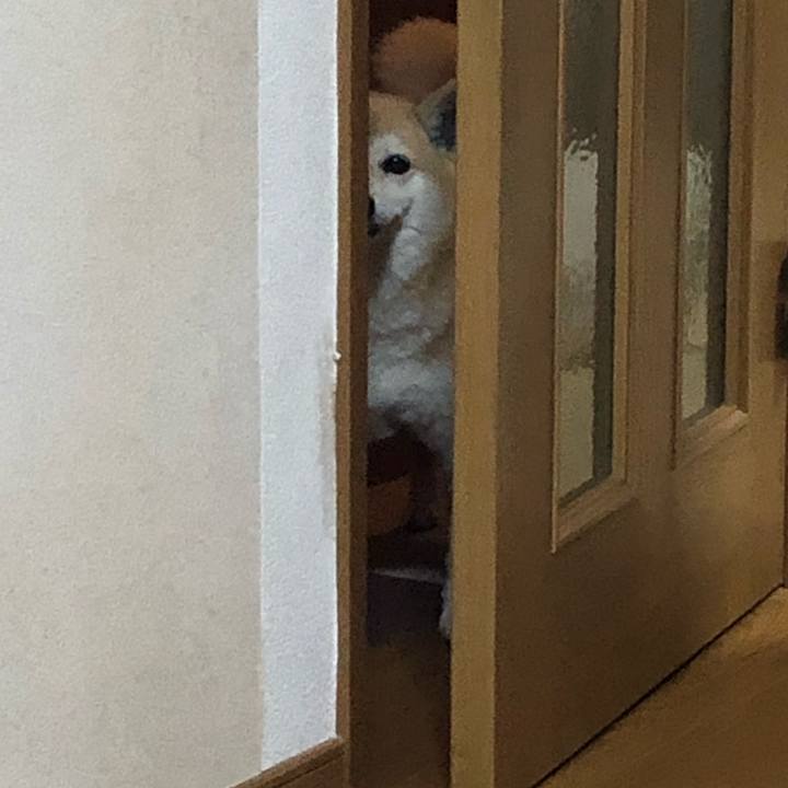 5b76de09 980d 4b29 9f08 82d242d1a9f6 1561902453629