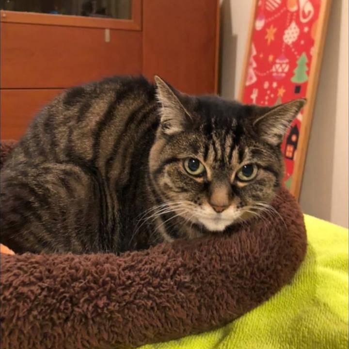 5b76de3a ae62 4756 8942 3f61826f1ab5 1766381985830