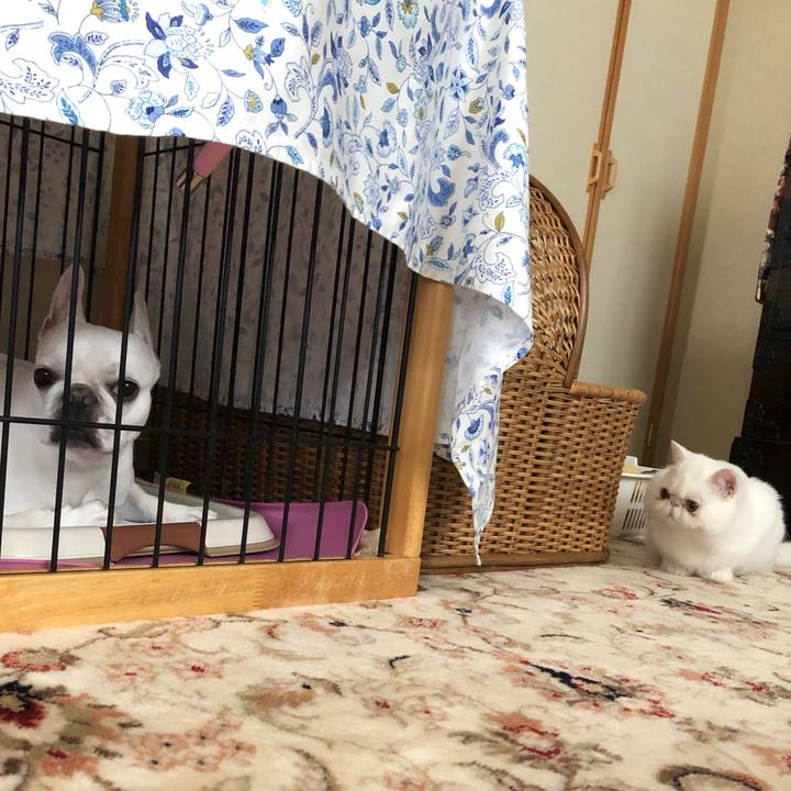 5b76e267 efad 4bae b0fd b9e7cf9d85c0 1562413148365