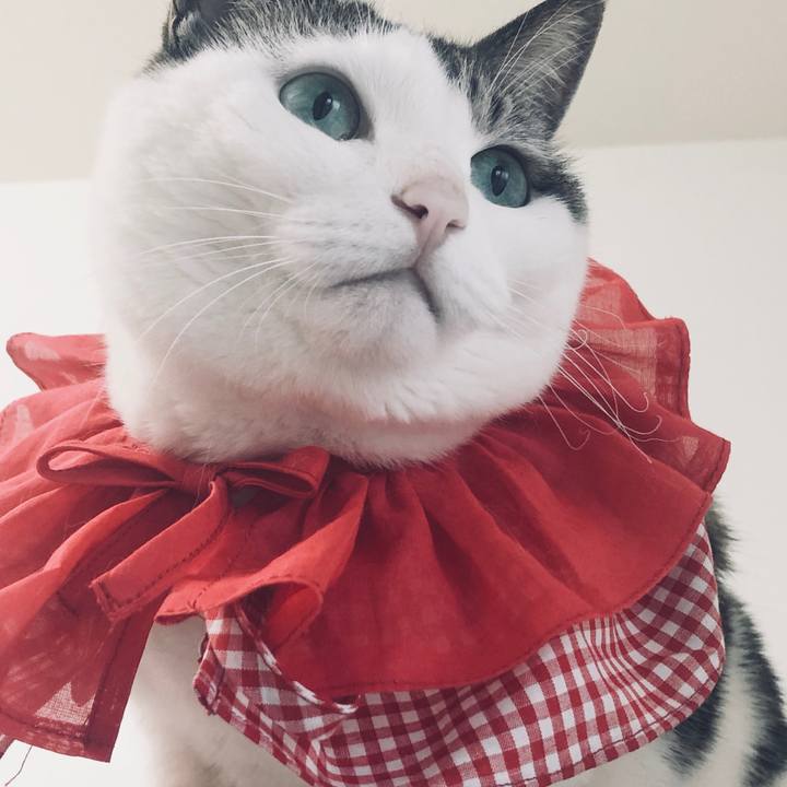 5b775f96 d618 4fff 9b03 d0a51c91ccf7 1559522074123