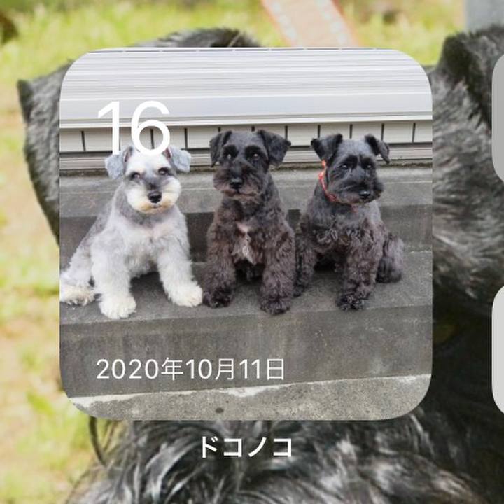 5b777512 88ca 4fa9 ba5c e998accc0334 1634377048958