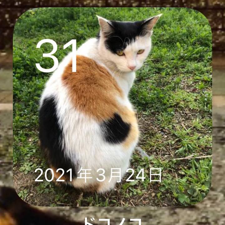 5b7780dc 2986 421d ad70 5742dc43c83b 1648729080694