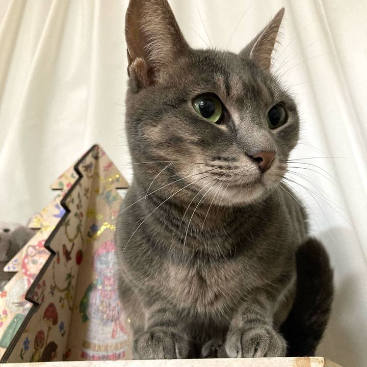 5b781242 5caf 47f1 bfe0 f917d69bd021 1636455744858