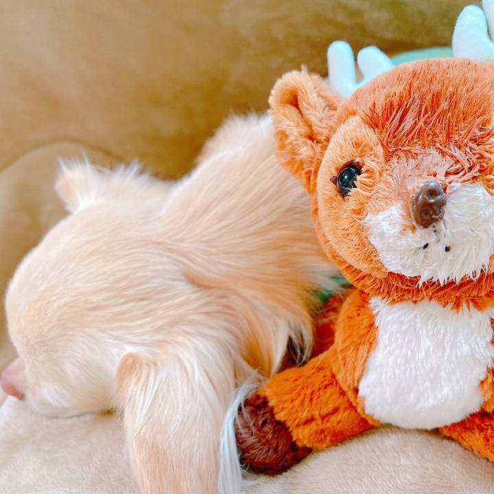 5b78337f e582 4d6d 874b e6cdecfccebe 1645360324817