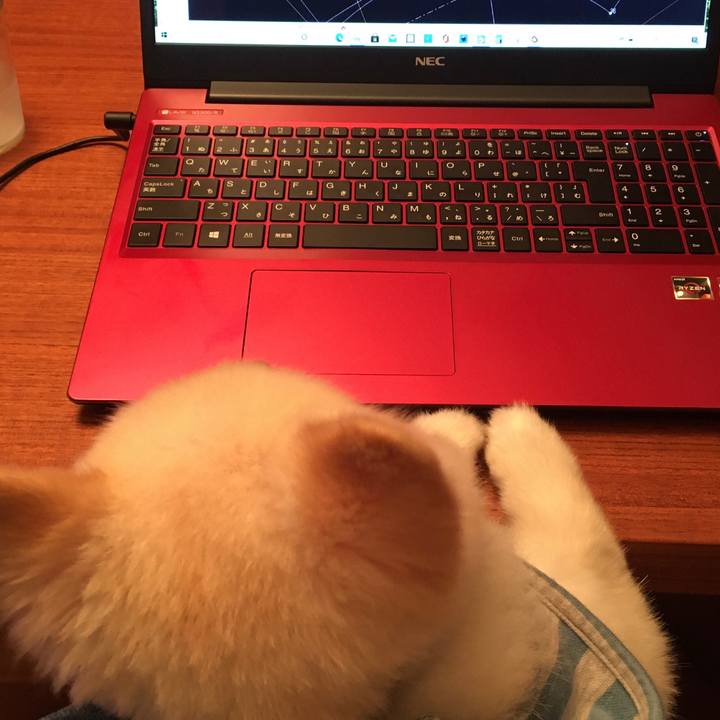 5b783fa0 1ae8 47ff 88d4 3f18e0d70ce2 1603079320553