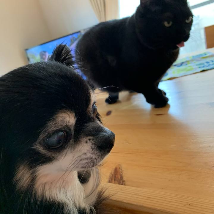 5b785ac7 b5e1 4129 8467 08971096e08f 1583041257401