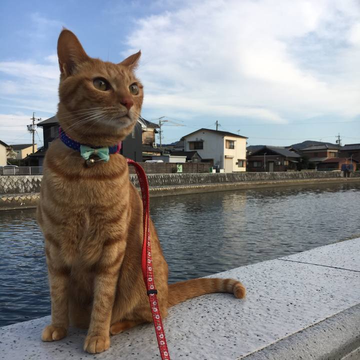 5b78635c 3397 4363 836a 30c81038cfbc 1521113211832