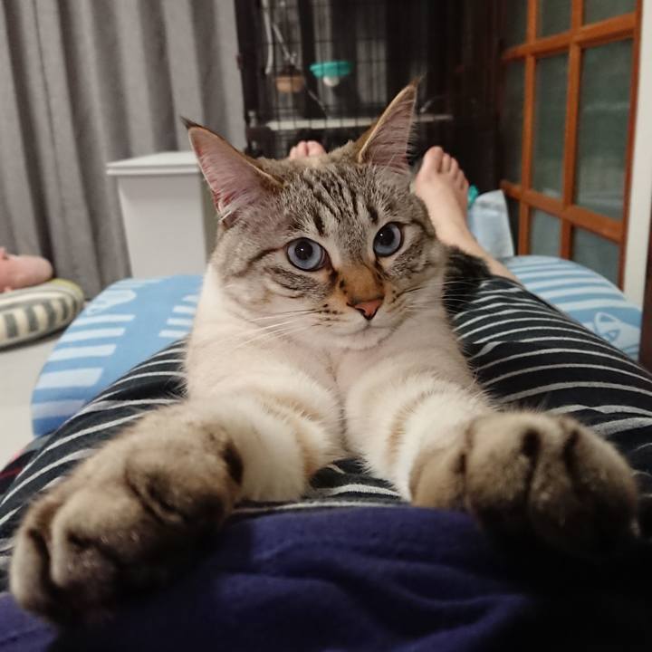 5b78de9f 7284 459a 8333 68273295027d 1587911270488