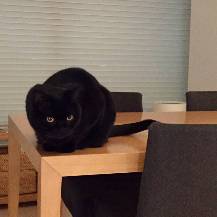 5b790670 2b27 488f 911a 7a8dd9796aec 1582725272321