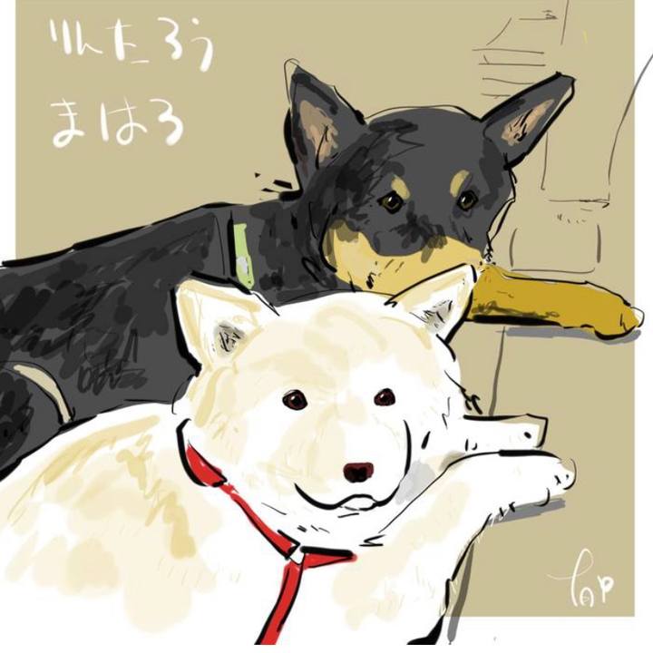 5b790a2d 3a3a 42e2 885d c6f465730f2d 1695430828556