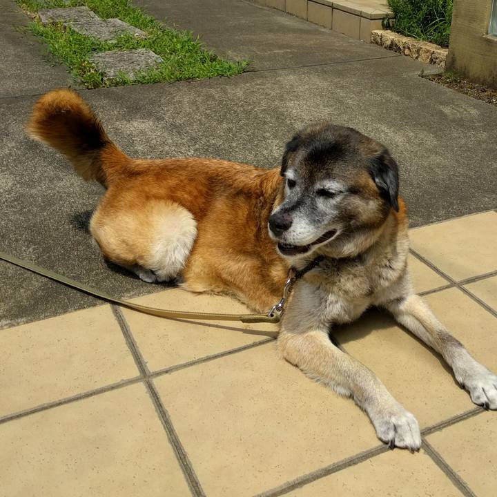 5b792ac7 cbed 4ca7 8c17 62a72ae40145 1532396572826