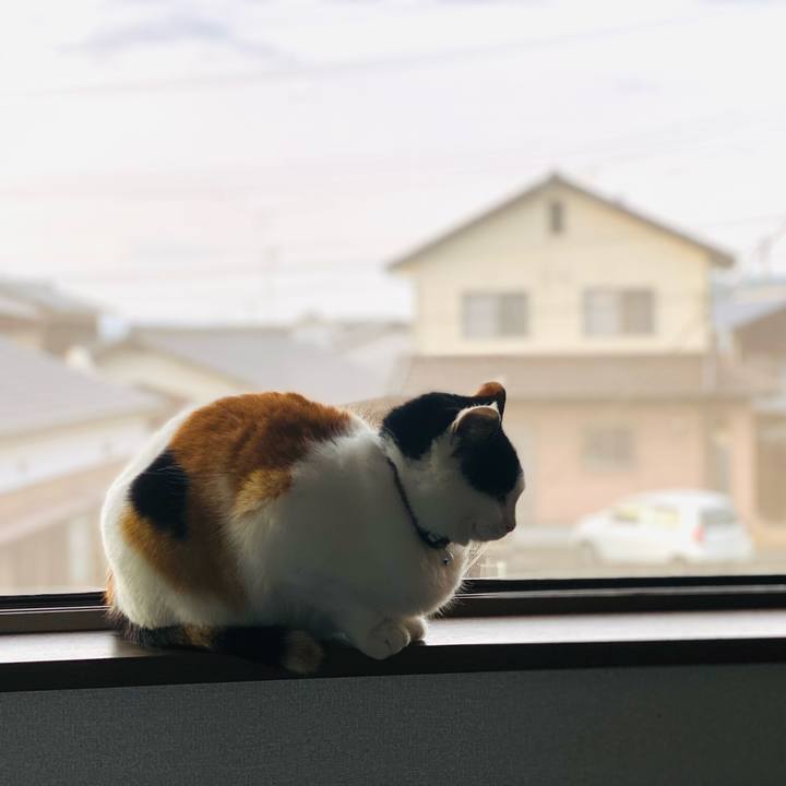 5b794764 ddca 44ee aee7 db166045a30b 1648592469260