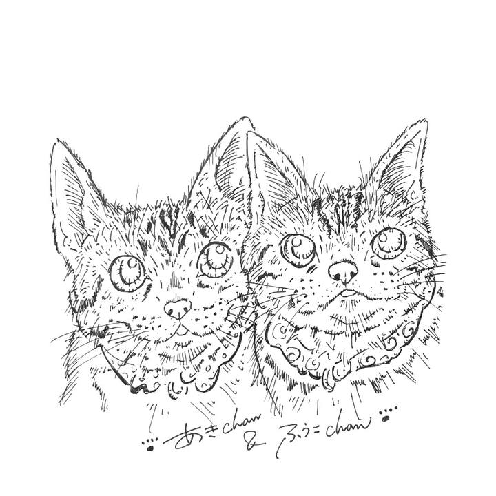 5b7982a8 5273 487b b4e2 8bd4edf90fd3 1581958486724