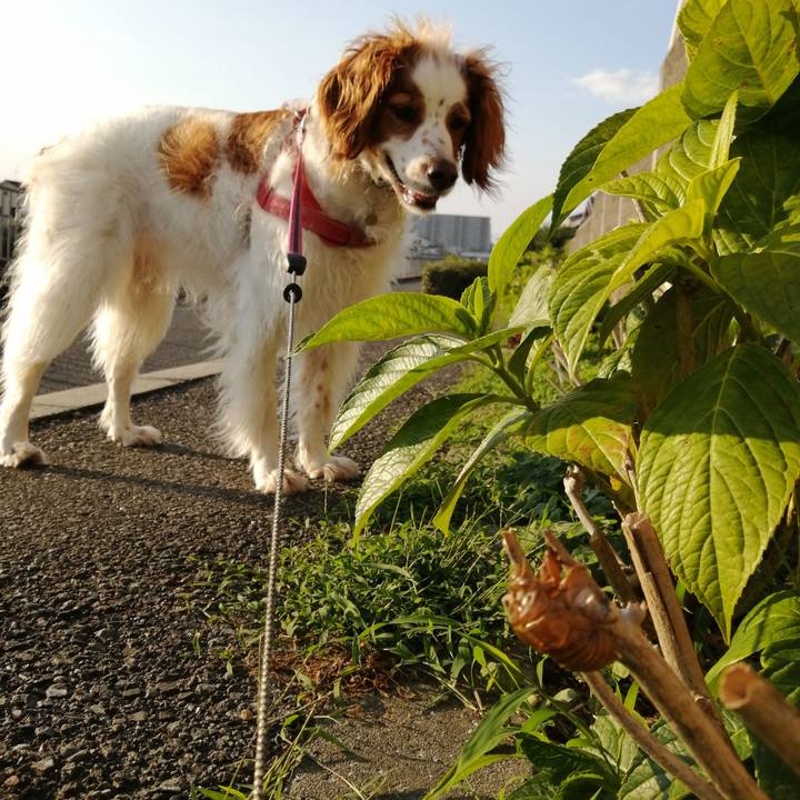 5b798d34 c293 40ef 8012 5765af6375de 1624968223799