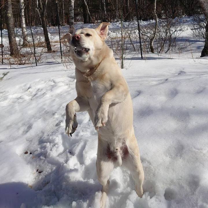 5b79a0be fc26 4ad1 aff5 c9bb0ddf944d 1740746113615