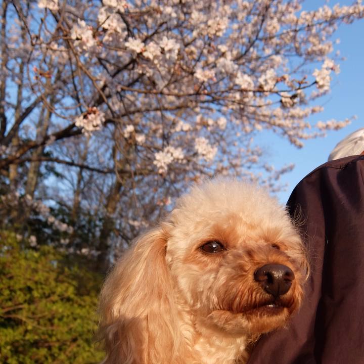 5b79e3e0 c630 4410 8a79 ea02e4d914d1 1522238089772