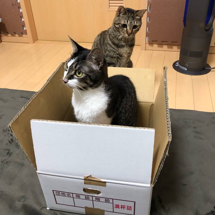 5b7a035a f6d8 42fb 8328 644bb6b2f50a 1521428837924