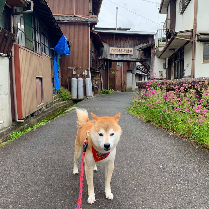 5b7a2ecf e9bb 4286 94d9 5d5967eebf7d 1655547726369