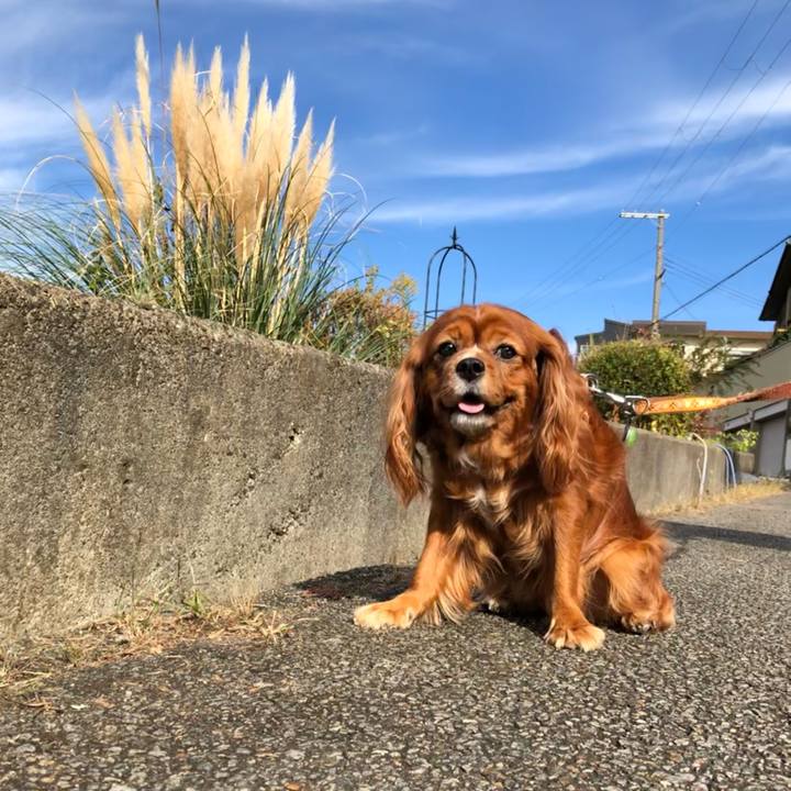 5b7a4be5 0c62 4eb4 a3dc db7861ebf878 1635034947143