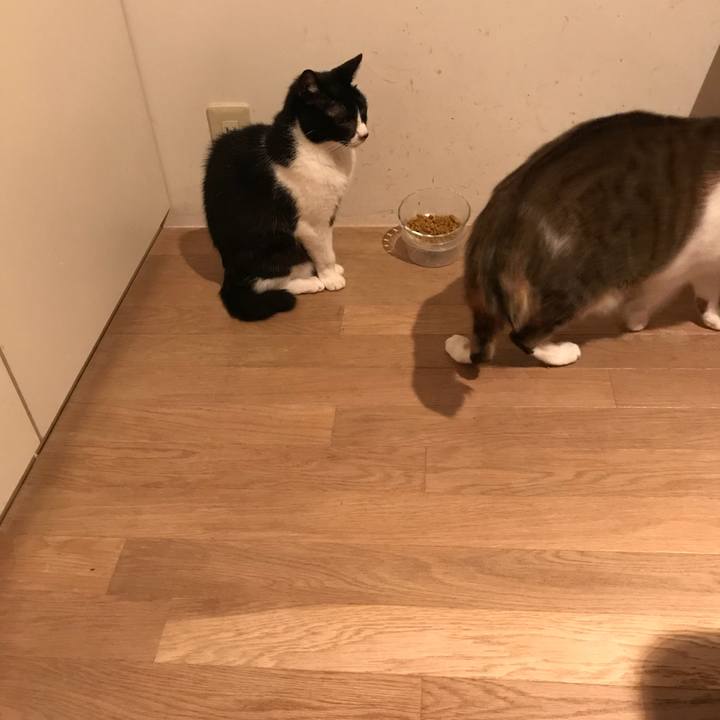 5b7a6584 63b1 411f 9531 47c1bc673d92 1529635368974