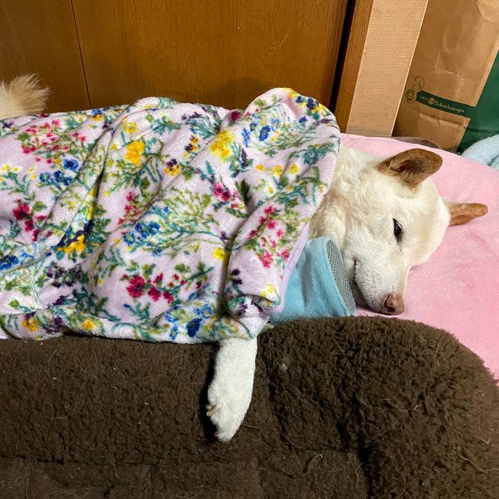 5b7acee5 cd6e 4832 bfa5 075090ccee6d 1637164766402