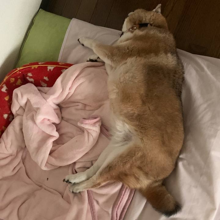 5b7adf9e 0824 4ab1 86ab a89dd70efbf4 1681603503078