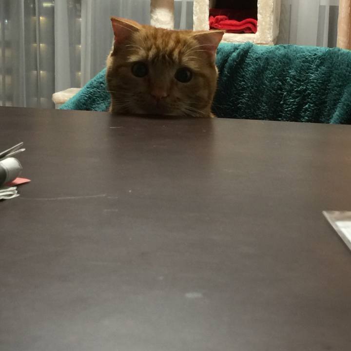 5b7ae0e7 c793 4d8d b9c4 6248c99ea3e0 1518011576134