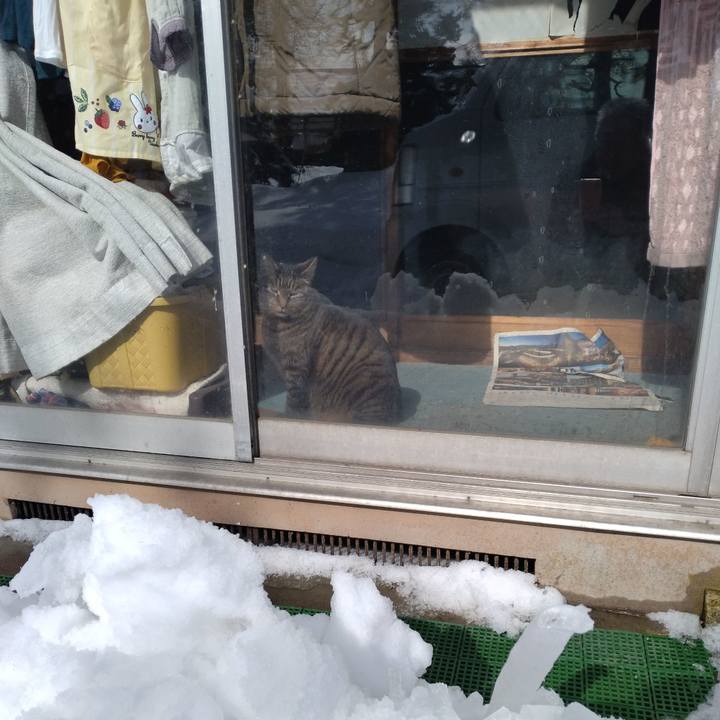 5b7aebe8 1d23 47c0 a4b0 34a6e4ea1ddd 1675565720344